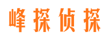 海晏市场调查